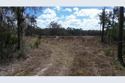 E Hwy 316, Citra, FL 32113 - Photo 6