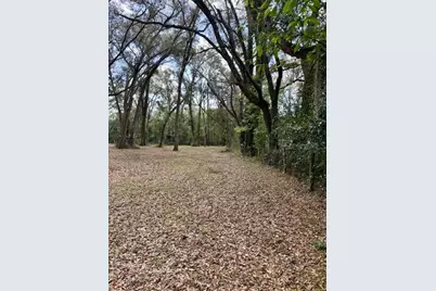 2350 SE 41 Highway, Morriston, FL 32668 - Photo 46