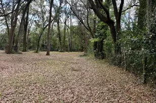 2350 SE 41 Hwy, Morriston, FL 32668 - Photo 46