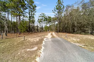 102 Whirlwind Way, Hawthorne, FL 32640 - Photo 40