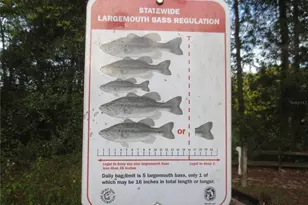 17350 SE 66th St, Ocklawaha, FL 32179 - Photo 62