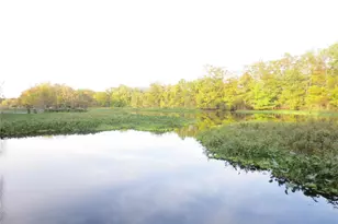 17350 SE 66th St, Ocklawaha, FL 32179 - Photo 48