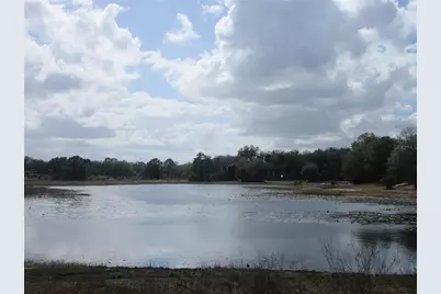 17350 SE 66th Street, Ocklawaha, FL 32179 - Photo 36