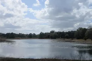 17350 SE 66th St, Ocklawaha, FL 32179 - Photo 36