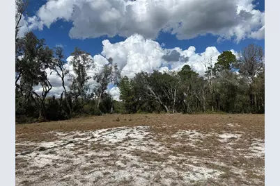 [Address not provided], Dunnellon, FL 34434 - Photo 1