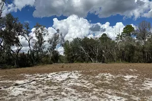 [Address not provided], Dunnellon, FL 34434 - Photo 1