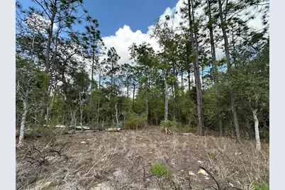 Tbd SE 30th Street, Morriston, FL 32668 - Photo 8