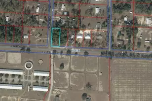 Tbd SE 30th St, Morriston, FL 32668 - Photo 1