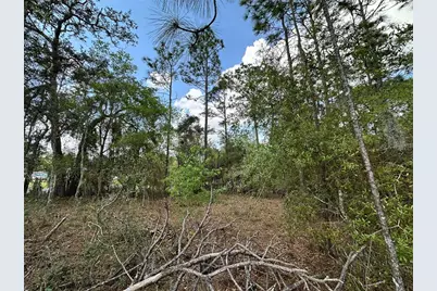 Tbd SE 30th Street, Morriston, FL 32668 - Photo 4
