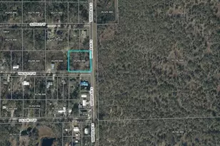 823 S Warner Ave, Perry, FL 32348 - Photo 22