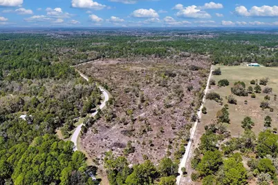 Shiloh Road, Cedar Key, FL 32625 - Photo 20