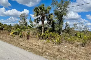 Shiloh Rd, Cedar Key, FL 32625 - Photo 1