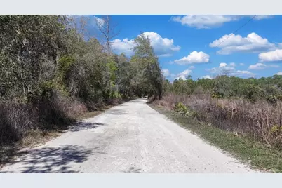 Shiloh Road, Cedar Key, FL 32625 - Photo 14