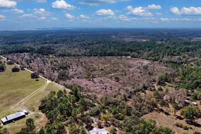 Shiloh Road, Cedar Key, FL 32625 - Photo 24