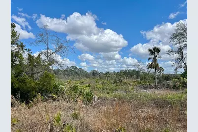 Shiloh Road, Cedar Key, FL 32625 - Photo 10