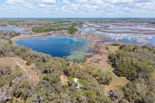 11990 SE 112th Avenue Rd, Belleview, FL 34420 - Photo 66