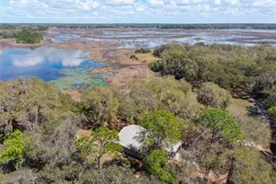 11990 SE 112th Avenue Rd, Belleview, FL 34420 - Photo 4