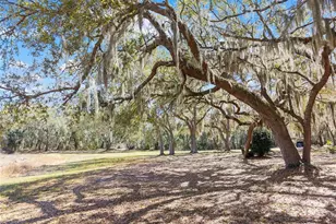 11990 SE 112th Avenue Rd, Belleview, FL 34420 - Photo 74