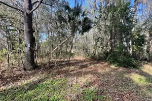 Tbd SE 40th Loop Lot 1, Ocala, FL 34480 - Photo 1