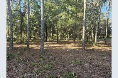 4462 & 4484 N Well View Point, Crystal River, FL 34428 - Photo 2