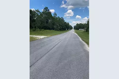 Tbd SW 54th Street, Dunnellon, FL 34431 - Photo 4