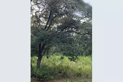 Tbd SW 54th Street, Dunnellon, FL 34431 - Photo 6