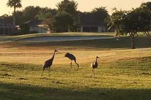 8788 SE 130th Loop, Summerfield, FL 34491 - Photo 78