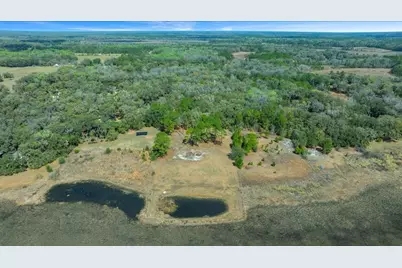 5590 E Highway 316, Citra, FL 32113 - Photo 30