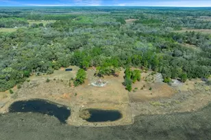 5590 E Hwy 316, Citra, FL 32113 - Photo 30