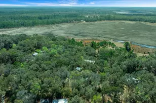 5590 E Hwy 316, Citra, FL 32113 - Photo 30