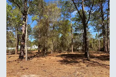 0 W Hwy 40, Ocala, FL 34481 - Photo 4
