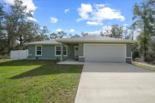 41 Fisher Way Run, Ocklawaha, FL 32179 - Photo 1