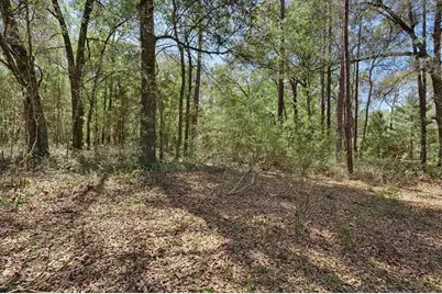 20940 SW 93rd Lane Road, Dunnellon, FL 34431 - Photo 44