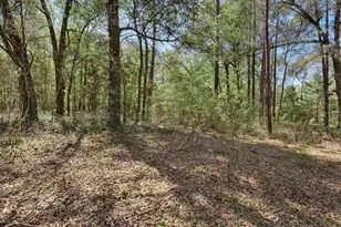 20940 SW 93rd Lane Rd, Dunnellon, FL 34431 - Photo 44