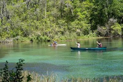 20940 SW 93rd Lane Road, Dunnellon, FL 34431 - Photo 60