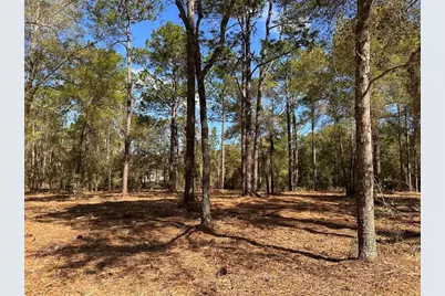 0 W Hwy 40, Ocala, FL 34481 - Photo 6