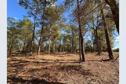 0 W Hwy 40, Ocala, FL 34481 - Photo 2