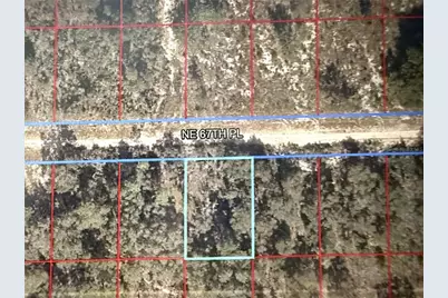 00 NE 67th Place, Williston, FL 32696 - Photo 6