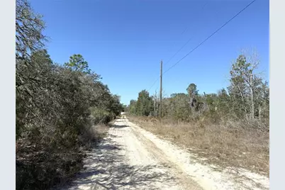 00 NE 67th Place, Williston, FL 32696 - Photo 4