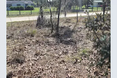 00 NE 137th Avenue, Williston, FL 32696 - Photo 8