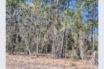00 NE 137th Avenue, Williston, FL 32696 - Photo 2