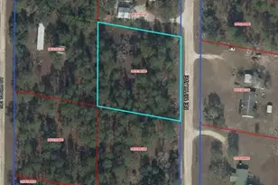 00 NE 137th Ave, Williston, FL 32696 - Photo 1