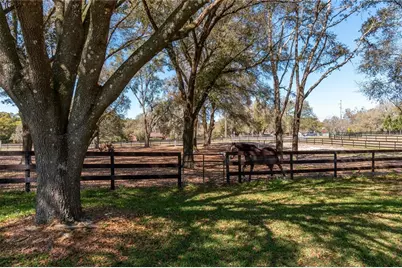 10 Carry Back Road, Ocala, FL 34482 - Photo 56