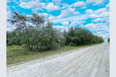 Tbd NE 85th Street, Bronson, FL 32621 - Photo 1