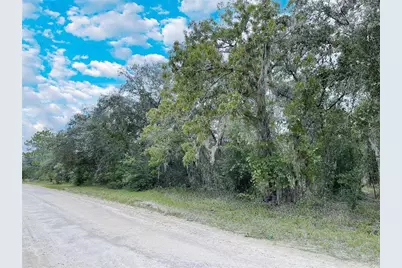 Tbd NE 85th Street, Bronson, FL 32621 - Photo 2