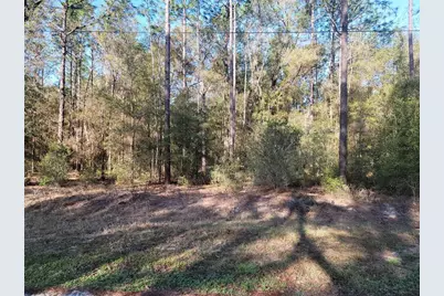 00 SW 133rd Court, Ocala, FL 34481 - Photo 2