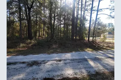 00 SW 133rd Court, Ocala, FL 34481 - Photo 4