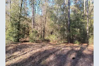 00 SW 133rd Court, Ocala, FL 34481 - Photo 1