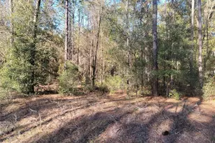 00 SW 133rd Ct, Ocala, FL 34481 - Photo 1