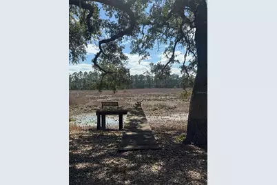 17645 NE 61st Street Road, Silver Springs, FL 34488 - Photo 8